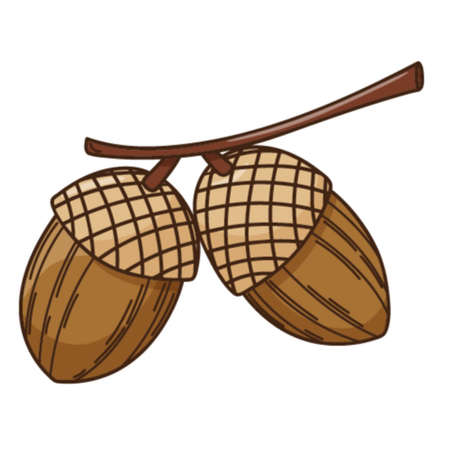 A branch with oak acorns. A symbol of the forest, autumn, and harvest. Botanical design element with outline. Doodle, hand-drawn. Flat design. Color vector illustration. Isolated on a white backgroundのイラスト素材