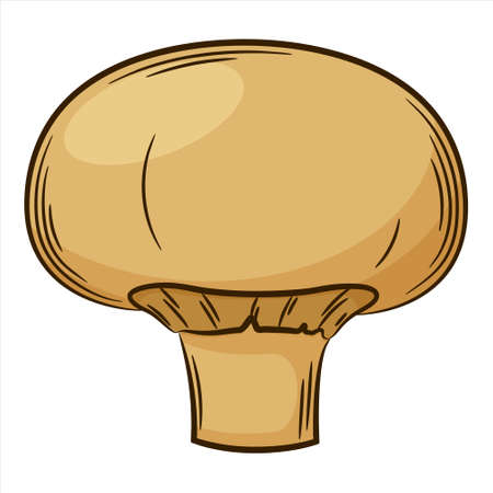 Champignon, mushroom. A vegetable in a linear style, drawn by hand. Food ingredient, design element.Color vector illustration with outline. Isolated on a white background.のイラスト素材