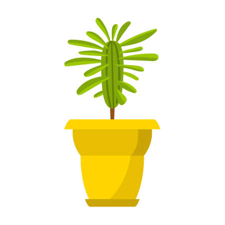 Houseplant, Milkweed in a yellow pot. Home deciduous plant. Vector illustration in flat cartoon style, isolated on white backgroundのイラスト素材