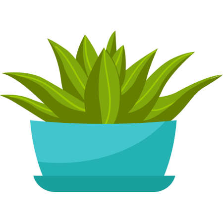 Indoor plant, aloe vera in a blue flowerpot. Home succulent. Vector illustration in flat cartoon style, isolated on white backgroundのイラスト素材