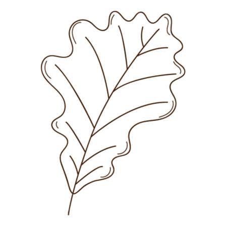 oak autumn leaf. Botanical, plant design element with outline. ... Doodle, hand-drawn. Flat design. Black white vector illustration. Isolated on a white backgroundのイラスト素材