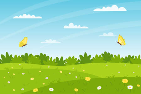 Horizontal summer landscape. A field of flowers, glade with daisies, bushes, butterflies flying. Clear weather. Color vector illustration. Nature background with empty space for text.のイラスト素材