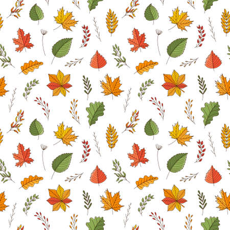 Seamless pattern with autumn leaves and twigs. Maple, oak, chestnut, aspen, birch.Backdrop with colored doodle elements. Bright colorful vector pattern isolated on a white background.のイラスト素材