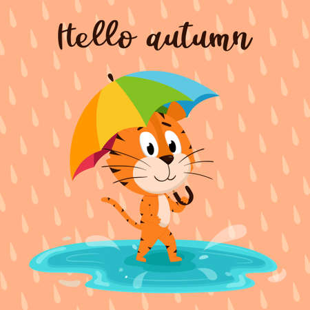 Cute cartoon tiger walks with umbrella through a puddle. Background of raindrops and the inscription Hello autumn. A card with an adorable character. Color vector illustration on a colored background.のイラスト素材