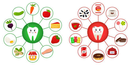 A poster with teeth surrounded by food products that are useful and harmful to dental health. Medicine, diet, healthy eating, infographics. Flat cartoon illustration on a white background.のイラスト素材