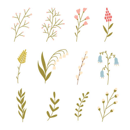 A set of simple twigs, spring flowers, herbs. Lily of the valley, willow, bell. Minimalistic flat hand drawn botanical decorative elements. Color vector illustrations isolated on a white backgroundのイラスト素材