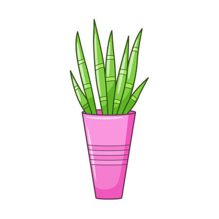 Vector cartoon house plant with long leaves. Indoor succulent plant in pot. Home plant for home and interior. Colorful botanical doodle illustration isolated on white background.のイラスト素材