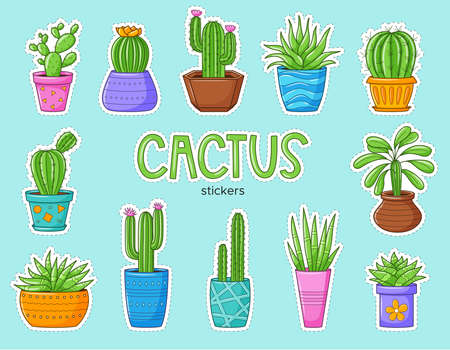 Set of funny cartoon cactus and succulents. Collection of stickers with different types of cacti. Patches with white border. Color vector illustrations with home plants. Can be used as a sticker.のイラスト素材