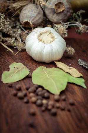 Still life with garlicの写真素材