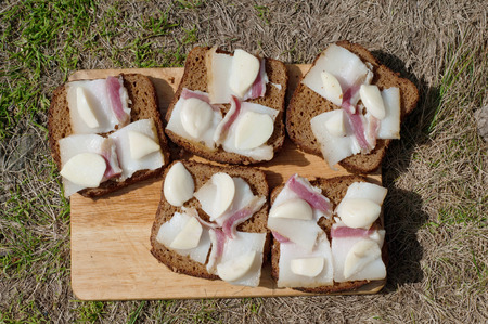 Sandwiches of black bread with bacon and garlicの写真素材