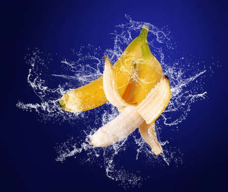 Two Yellow bananas in water drops  in water splashes on the dark blue backgroundの写真素材