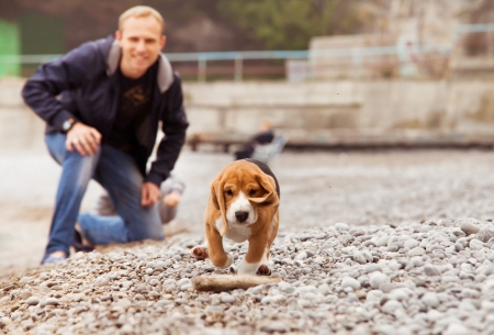 Yong man playing with his beagle pet on the sea coastの写真素材