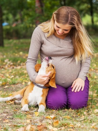 Happy pregnant woman playing with her pet on green meadow in parkの写真素材
