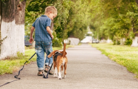 Little boy walking with his beagle puppy better friend の写真素材