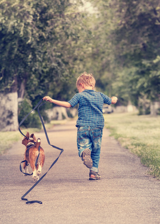 Little boy running with his beagle puppyの写真素材