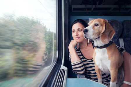 woman on train with dogの写真素材