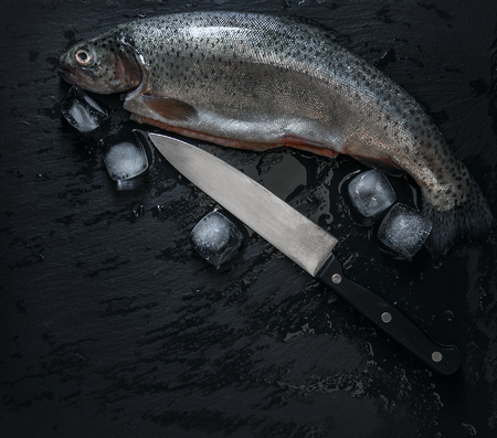 Fresh trouts with ice and knifeの写真素材