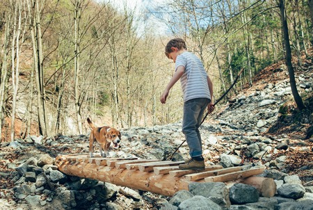 Little traveller in spring forest with his dogの写真素材
