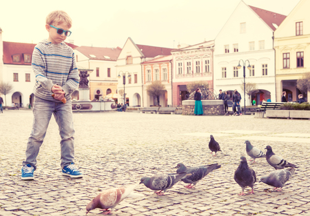 Boy feeding doves on the old city squareの写真素材