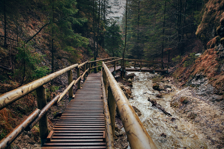 Wooden bridge in Slovak tatra mountain forestの写真素材