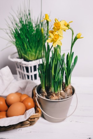 Narcissus and yellow eggsの写真素材