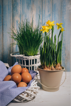 Spring still life with eggs and narcissusの写真素材