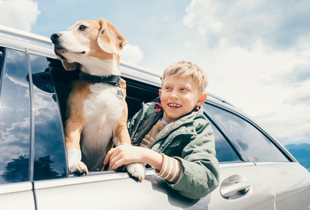 Boy and dog look out from car windowの写真素材