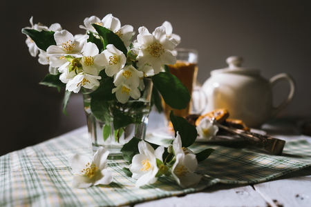 Morning still life with fresh jasmine flowersの写真素材