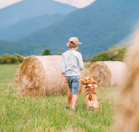 Boy walks with beagle dog on green mountain meadow with haystacksの写真素材