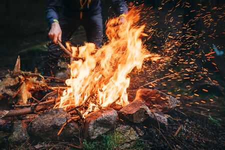 Man makes bonfire in forest