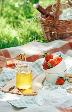 Summer picnic with light snacks - cheese, strawberry and honeyの写真素材