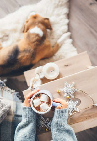 Woman hands with cup of hot chocolate close up image; cozy home; sleeping dog; christmas timeの写真素材