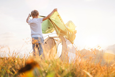 Father and son install tent for camping on sunny forest gladeの写真素材