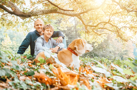 Father, son and beagle dog walk in autumn park, warm indian summer dayの写真素材