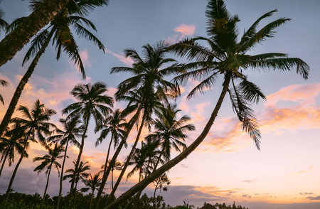 Vanilla sky sunset over the  tropical beach in Sri Lankaの写真素材