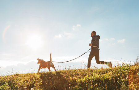 Man runs with his beagle dog at sunny morningの写真素材