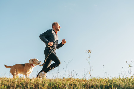 Sport activity with pet. Canicross exercises. Man runs with his beagle dogの写真素材