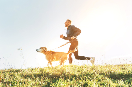 Man runs with his beagle dog.の写真素材
