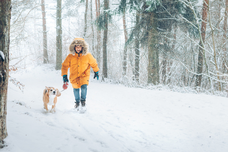 Boy in bright yellow parka walks with his beagle dog in snowy pine forest.の写真素材