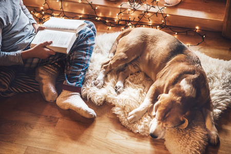 Boy reading book on the floor near slipping his beagle dog on sheepskin in cozy home atmosphere. Peaceful moments of cozy home concept image.の写真素材