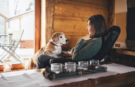 Woman sitting in comfortable chair opposite big window in cozy country home with his beagle dog watching at her. Countryside vacation with pets concept image.の写真素材