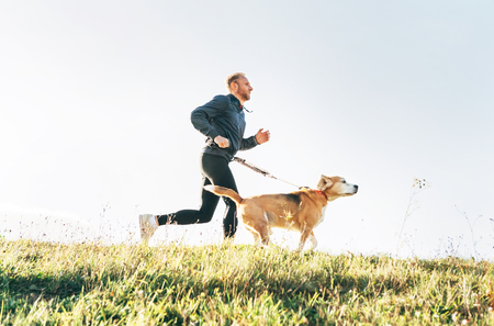Man runs with his beagle dog. Morning Canicross exercise concept imageの写真素材