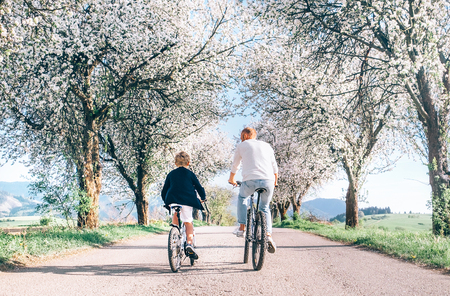 Father and son iding bicycles on country road under blossom trees. Healthy sporty lifestyle concept image.の写真素材
