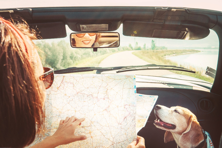 Woman traveling with her beagle dog by cabriolet car and planning itinerary using the paper map in the bright sunny day