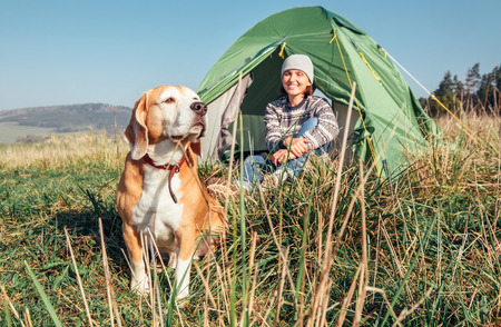 Woman in her beagle dog meet morning in touristic camping tentの写真素材