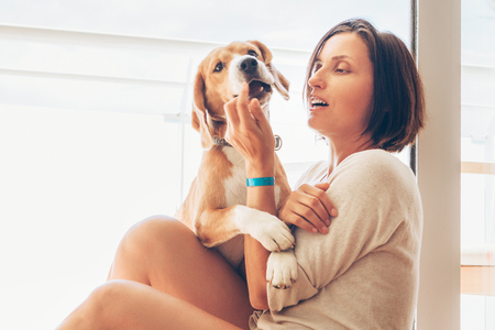 Beagle dog and its owner hugs on sunny terraceの写真素材