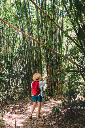 Woman with backpack on trek through jungle stopping looking bamboo forest top branchesの写真素材