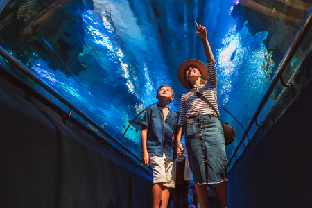 Mother and son walking in indoor huge aquarium tunnel, enjoying a underwater sea inhabitants, showing an interesting to each other.の写真素材