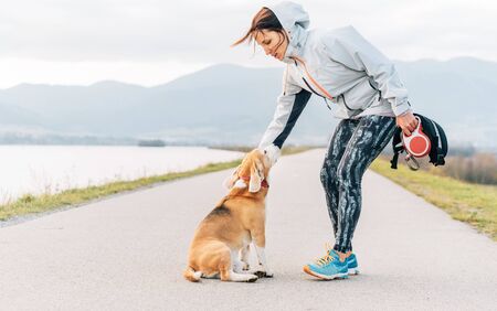 Young Female runner training her beagle dog before cannecross morning exerciseの写真素材