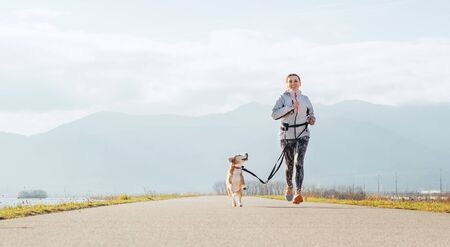 Bright sunny Morning Canicross exercises. Female runs with his beagle dog and happy smiling.の写真素材